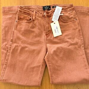 High-Rise Women’s Jeans in Dusty Terra Cotta